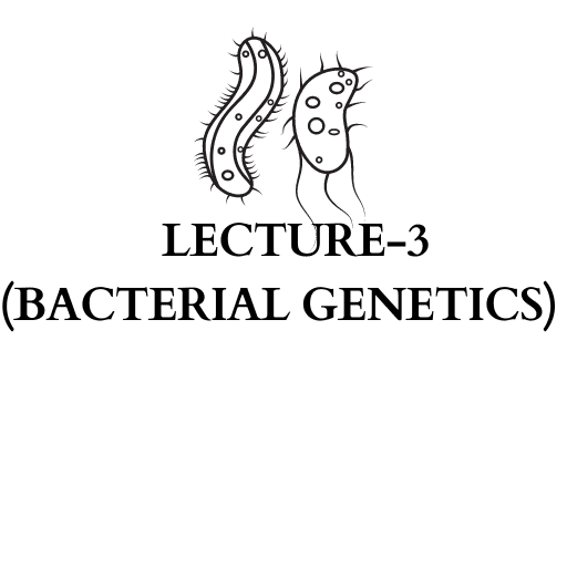 LECTURE-3 (BACTERIAL GENETICS)